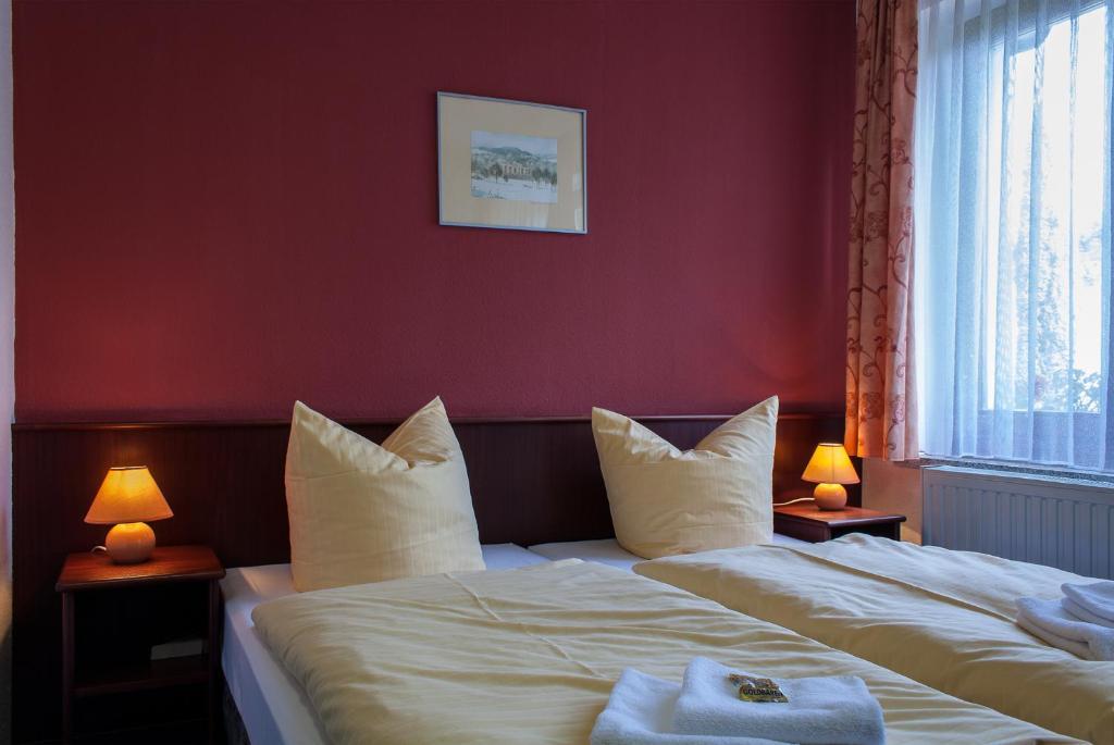 Landhotel Alt-Jocketa Pöhl Habitación foto